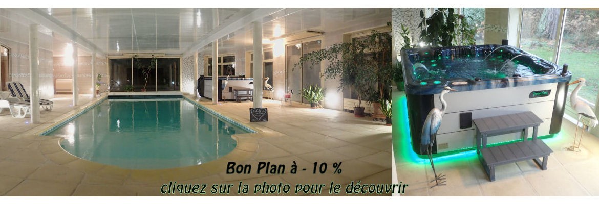 Au Charme du Lac piscine et SPA - Chambres d'hôtes à FORGES LES EAUX 76440 - La piscine