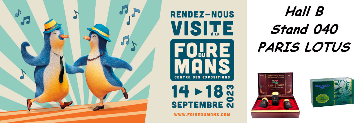 Foire du Mans